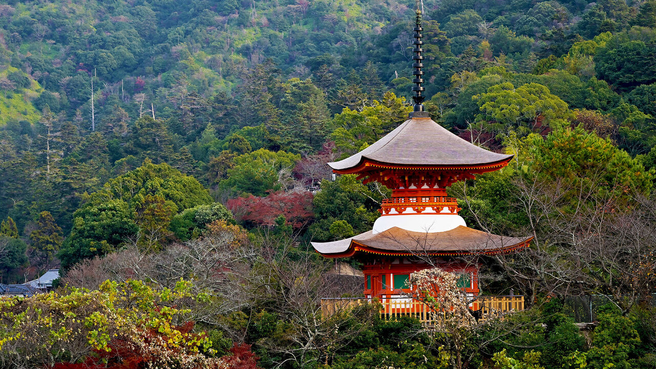 Temple Daishō-in